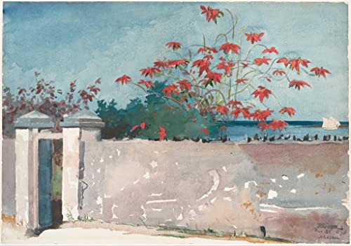 Tableau Toile Winslow Homer Nassau - Affiche Art Décoration Murale 60x90cm