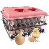  WEDSFC Eier Inkubator Große Brutmaschine Vollautomatisch, Intelligent Brutapparat Brutautomat Brutkasten Motorbrüter Mit Temperaturanzeige Und Feuchtigkeitsregulierung,98 Pieces