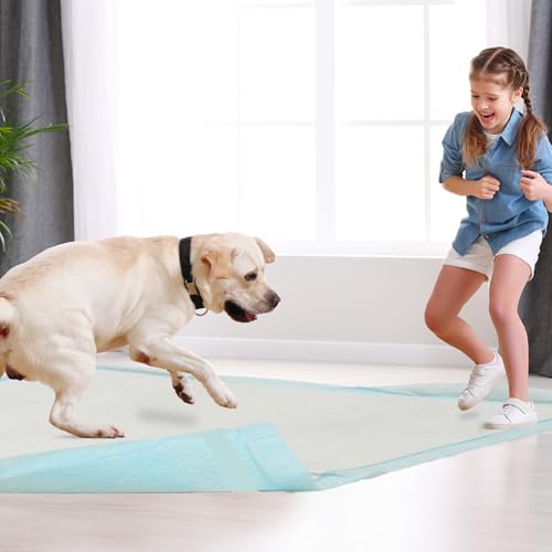 Image of Dog Pee Pads 22 inchx23 inch, Disposable Puppy Pee Pads Pee Pads for Dogs, Pet Training Pads Super Absorbent Leak-Proof Pee Pads (90 Count)