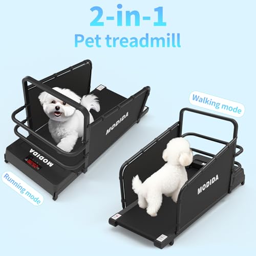 MODIDA Dog Treadmill | Adjustable Speed 1–8km/h Pet Treadmill for Dogs | Indoor Dog Exercise & Training Machine | Quiet Home Pet Running Equipment with LED Display for Time, Distance & Calories