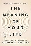 The Meaning of Your Life: Finding Purpose in an Age of Emptiness