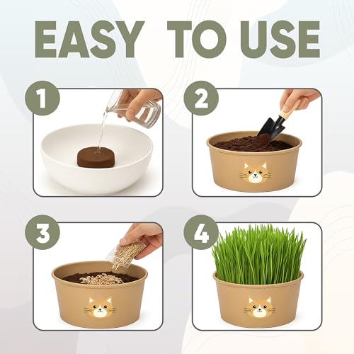 Image of Cat Grass Kit for Indoor Cats - x3 Seed Packets | Cat Grass Seeds with Recyclable Planter & Coconut Coir Expanding Soil Discs - Wheatgrass Grass
