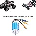 Dilwe RC Car Brushless Motor, 2430 8200KV 4 Poles Sensorless Brushless Motor w/ ￠2mm Shaft for 1/16 1/18 RC Model Car Accessory Parts