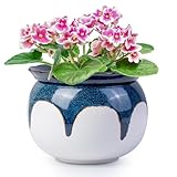 LITUDISO African Violet Pots, 6 Inch Self Watering Pots for Indoor Plants, Easy Plant Self Watering Planter, Ceramic Plant Pot with Absorbent Inner Pot for Flowers - Gradient Blue (No Plants)