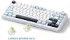 MOLGRIA x Aula F75 Teclado gamer, conexión triple modo 75% azul claro con retroiluminación RGB orientada al sur y perilla (negro, switch LEOBOG Reaper) 5