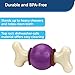 PetSafe Busy Buddy Bouncy Bone - 3-in-1 Adjustable Slow Feeder Toy with Refillable Treat Rings - Cleans Teeth & Gums, Cures Boredom & Slows Down Eating Habits - Medium/Large - for Dogs 50-90 lb