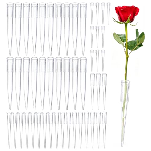 DAVIDJAMESCLARKE Lot de 50 Pots de Fleurs de Trois Tailles pour Arrangement Floral, décoration de gâteaux, Pics de Fleurs, Arrangement de Fleurs, Tubes en Plastique