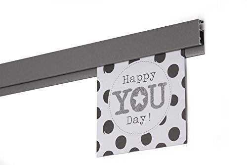 STAS papergrip - Restaurant Ticket Holder - Ticket Rail Bulletin bar - Poster Hanger - 59 inch (150 cm) (Aluminum Structured)