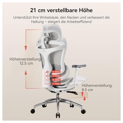 SIHOO Doro C300 Ergonomischer Bürostuhl