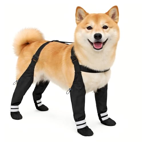 Dog Suspender Boots for Medium Dogs – Waterproof & Non-Slip Dog Paw Protectors with Adjustable Straps & Reflective Strips, All-in-One Connected Dog Boots for Outdoor Walks, Snow, Rain, Hiking (M)