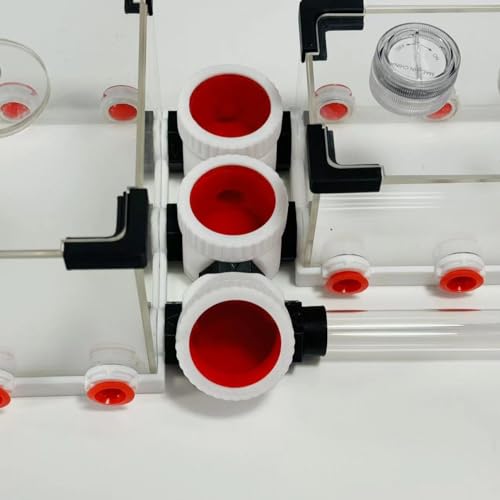 3D-Druck Unbegrenzte Erweiterung, Ameisenformicarium, Öko-Pflaster, Ameisennest, Ameisenfarm, Arylic, Insektenameisen-Lebensraum, Beobachtung, Lern-Formicarium für lebende Ameisen und Königin