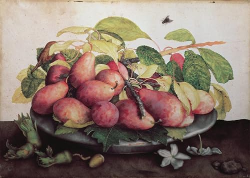 Affiche impression prints toile de Giovanna Garzoni affiche murale 60x90