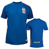ITALIA FIGC