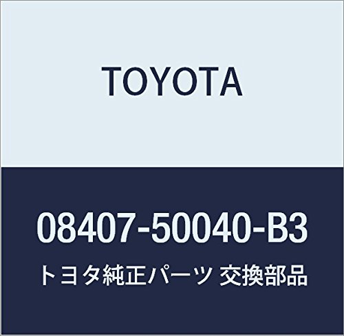 TOYOTA (toyota) Genuine Parts nanba-hure-muhuronto・riyasetto Part No 08407 – 50040 – B3