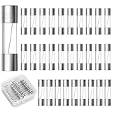 30 Stück 6,3A Glassicherung 250V, 5 x 20mm Feinsicherung 250V, Schmelzsicherung mit Kunststoffbox, Schnelle Schlag Sicherung (6.3A 250V)
