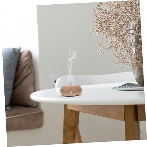 Diffuseur d'aromathérapie flacon en verre pour éliminer les odeurs de maison - 6