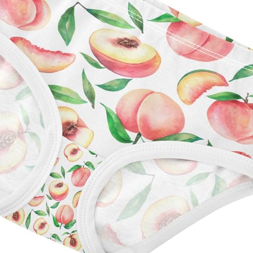 Watercolor Peaches Toddler Girls's Underwear 2T 202c14054