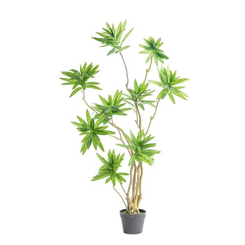 [LJKI] tFCNO[ ^ 160cm lHϗtA  L R { A  CeA lH A 傫 ze rO j JXj hZi Ղ 蕨 v[g Mtg zj V