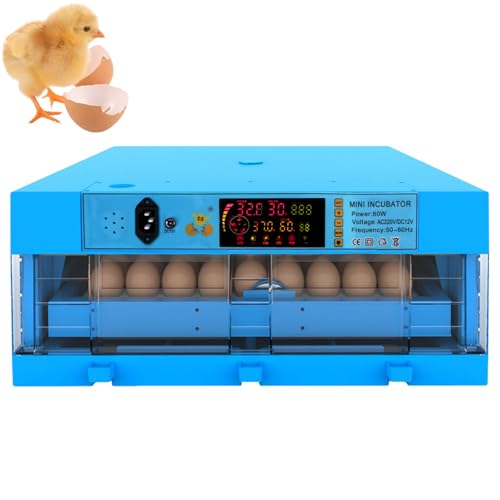 ZephyrGlow Incubadora Automática de Huevos Gallina con Controles Automáticos de Temperatura y Humedad - Higrómetro y Termómetro, Volteo Automático de Huevos,64Egg
