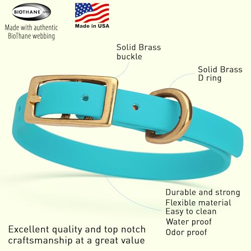 Image of Viper Biothane Heavy Duty Waterproof Dog Collar Strong Coated Nylon Webbing w /Solid Brass Hardware Odor-Proof Easy to Clean High Performance Fits Small Medium or Large Dogs, Sky Blue