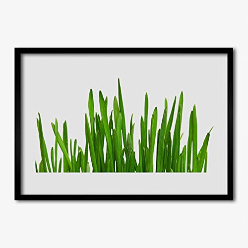Affiche encadrée photo 70x50 cm herbe image murale chambre avec cadre suspendre