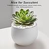 Terrarium Supplies,Virekm River Rocks Decorative Ornamental Pebbles,Garden Landscaping Stones,Gravel Filler for Home Decoration Flower Bed Fish Tank Plants Vases Succulents (1, White, 1 Pounds) #3