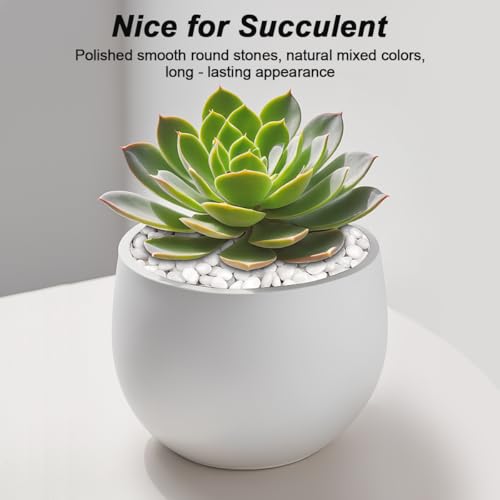 Image of Succulent Rocks,Virekm River Rocks,Decorative Ornamental Pebbles,Garden Landscaping Stones,Gravel Filler for Home Decoration Flower Bed Fish Tank Plants Vases Succulents (1, White, 2 Pounds)