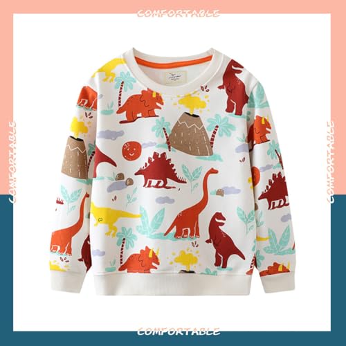 Boys Sweatshirts Casual Sweatshirts Cotton Sweatshirts Long Sleeve T-shirts Crew Neck Cartoon Tops for Boys-7084