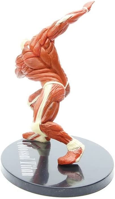 ジョーダン　フィギュア　特大サイズ　彫像　彫刻 Amazon.co.jp: マイケル・ジョーダン,ミュージアム等身大フィギュア