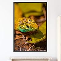 Framed Canvas Wall Art Reptile Contemporary Dramatic Hallway Iguana Multicolor Photography Reptiles - 16x24 inches