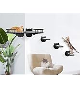 Cat Wall Furniture Wall Mounted, 2PCS Cat Shelves and Cat Perches for Wall with 3 Cat Wall Steps ...