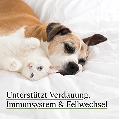 Heilmoor Cbdvital von Vitrasan für Hunde – Tierärztlich geprüft