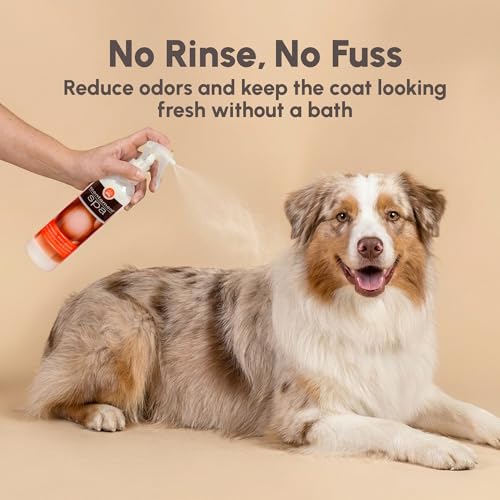 Image of Best Shot Scentament Spa Botanical Body Splash, Detangler Spray, Body Spray for Pets, Cat and Dog Cologne Spray, Mandarin Jasmine Honey, 8 Oz.