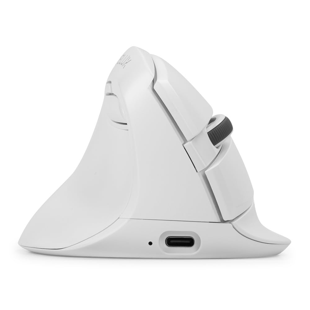 Amazon.com: DELUX Left Handed Ergonomic Mouse, Mini Wireless