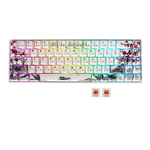 MOLGRIA GK68 68-Key RGB Backlit Gaming Keyboard with Plum Blossom Keycaps, Hot Swappable Red Mechinery Switches, Type C Wired Mechanical Keyboard for Win/Mac OS