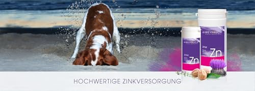 Dr. Weyrauch Zn Zink | 60 Kapseln | Ergänzungsfuttermittel für Hunde | Mit Kräutermischung