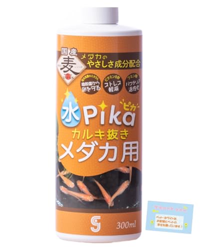 { yp 1{ŁIz sJJL _Jp ѐ΂zȐ r^~BQŃXgXy t~_ƃ~lŃoNeAی 300ml