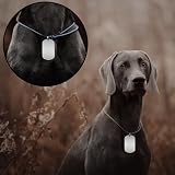 INKNOTE 30 PCS 2 X 1inch Stamping Blank Dog Metal Tags Aluminum Label Pendants Shield Shape with 30 Chain Necklaces Hip Hop Style Pet Name Number Mark Personalized DIY Craft Silvery
