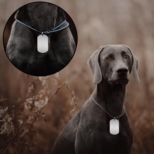 INKNOTE 30 PCS 2 X 1inch Stamping Blank Dog Metal Tags Aluminum Label Pendants Shield Shape with 30 Chain Necklaces Hip Hop Style Pet Name Number Mark Personalized DIY Craft Silvery