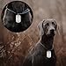 INKNOTE 30 PCS 2 X 1inch Stamping Blank Dog Metal Tags Aluminum Label Pendants Shield Shape with 30 Chain Necklaces Hip Hop Style Pet Name Number Mark Personalized DIY Craft Silvery