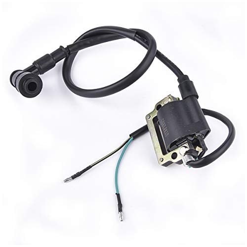 Ignition Coil for Kazuma Meerkat Falcon Lacoste Panda 50cc 90cc 110cc ATV