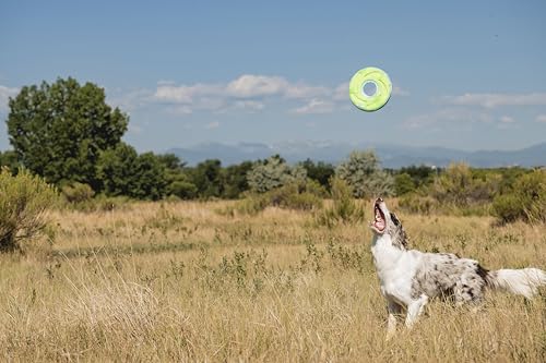 Chuckit! CH18100 Zipflight Medium