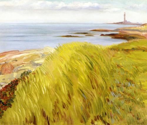Pintura por números Grassy Dunes DIY el regalo original para adultos y niños