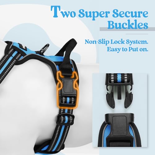 Image of rabbitgoo Dog Harness No Pull with 2 Leash Clips, Adjustable Soft Padded, Reflective Oxford No Choke Pet Vest with Easy Control Handle for Large Dogs, Blue, XL