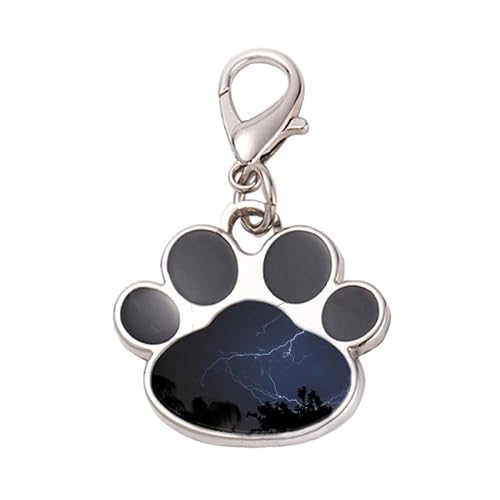 DIYthinker?Night Dark Forestry Science Nature Scenery Pet Tag Keychain Dog Cat ID
