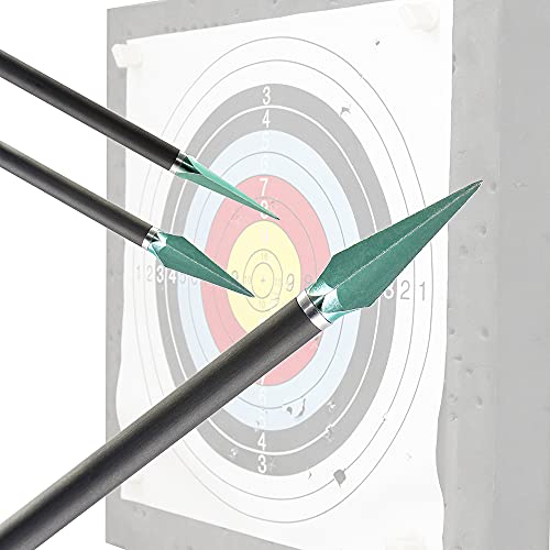 Wisdom Hunting Broadheads 150 Grains One Piece Broadhead Archery Target Tip Arrowheads Archery Field Points 12Pcs And 1Pcs Broadhead Box 150 Grains Broadheads Green #TOP5