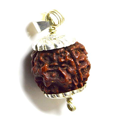 Gemsonclick Natural 4 Mukhi Cuatro Caras Rudraksha Colgante de Plata de Ley Nepali Rudraksh Chakra Healing Cover