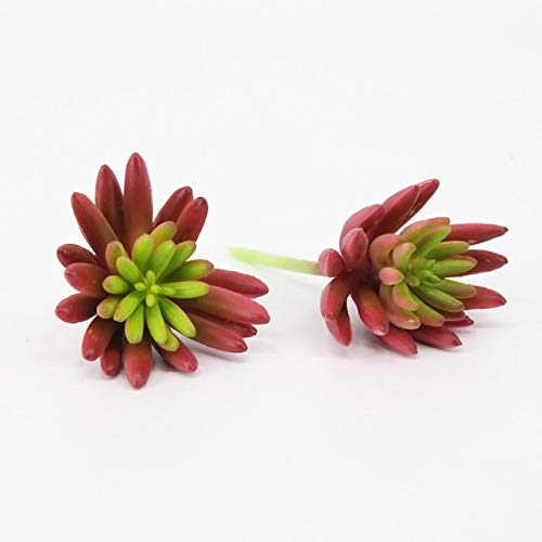 Simulation künstliche Pflanzen Sukkulente Pflanzen PVC künstliche Blumen Startseite Vase Dekoration Zimmerpflanzen Bonsai: DR039-1:Seeds Only