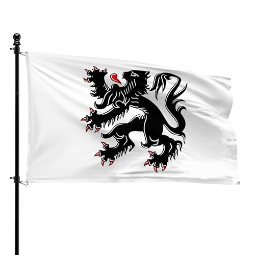 Bandera de Edegem rectangular de 90x150 cm para mástil exterior e institucional 2