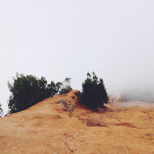 Jfnoyaum Digital Book Journal copertina